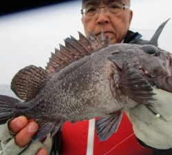 兼六丸 釣果