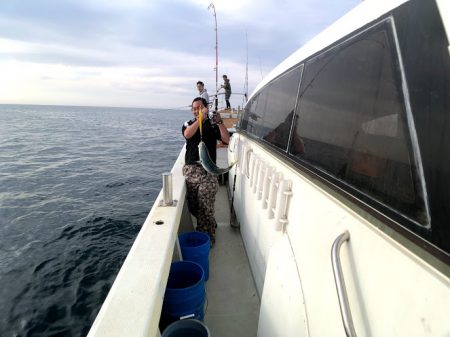 オーシャンズ 京都 釣果