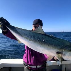 オーシャンズ 京都 釣果