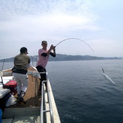 オーシャンズ　京都 釣果