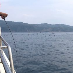 オーシャンズ　京都 釣果