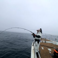 オーシャンズ 京都 釣果