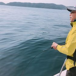 フィシングボートAir(エアー) 釣果