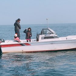 フィシングボートAir(エアー) 釣果