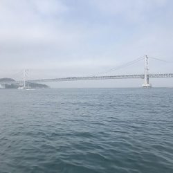 フィシングボートAir(エアー) 釣果