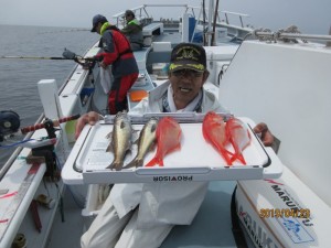 太郎丸 釣果