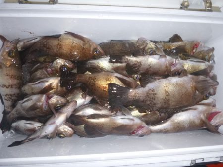 松運丸 釣果