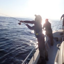 Aquanaut(アクアノート) 釣果