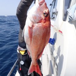 Aquanaut(アクアノート) 釣果