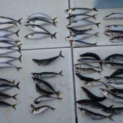 Aquanaut(アクアノート) 釣果