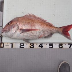 Aquanaut(アクアノート) 釣果