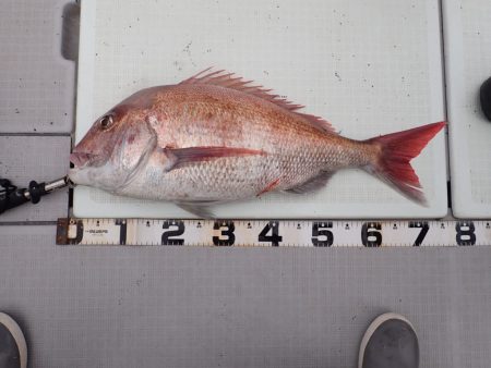 Aquanaut(アクアノート) 釣果