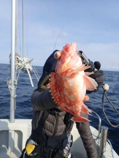 Aquanaut(アクアノート) 釣果