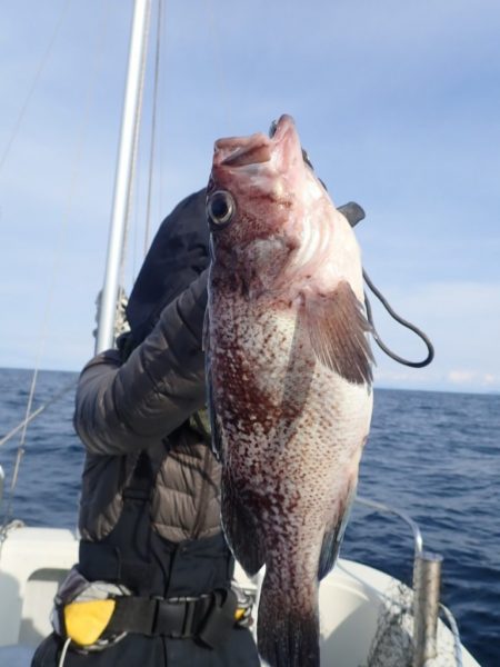 Aquanaut(アクアノート) 釣果