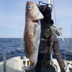 Aquanaut(アクアノート) 釣果