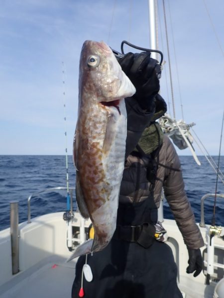 Aquanaut(アクアノート) 釣果