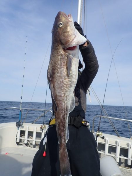 Aquanaut(アクアノート) 釣果