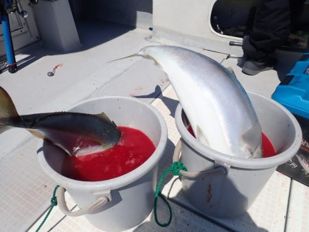 Aquanaut(アクアノート) 釣果