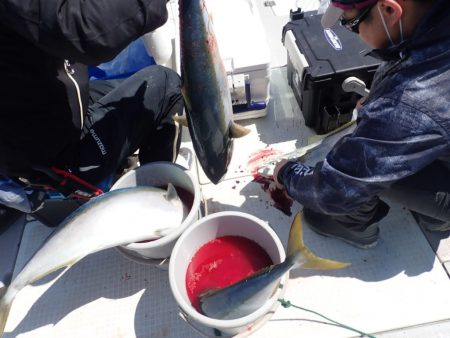 Aquanaut(アクアノート) 釣果