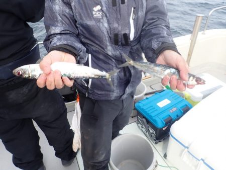 Aquanaut(アクアノート) 釣果