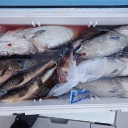 Aquanaut(アクアノート) 釣果