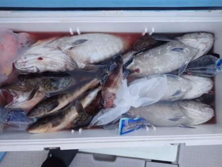 Aquanaut(アクアノート) 釣果