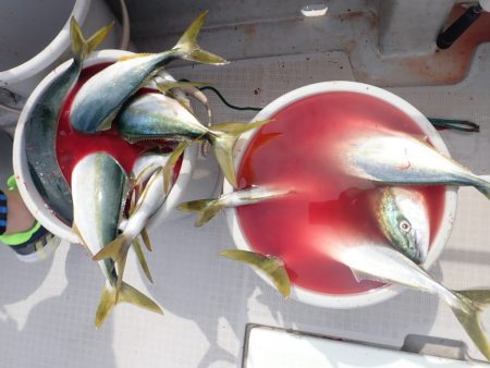 Aquanaut(アクアノート) 釣果