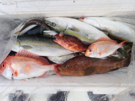 Aquanaut(アクアノート) 釣果