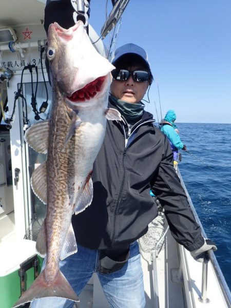 Aquanaut（アクアノート） 釣果