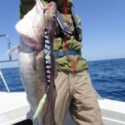 Aquanaut（アクアノート） 釣果