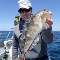 Aquanaut（アクアノート） 釣果