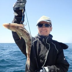 Aquanaut（アクアノート） 釣果