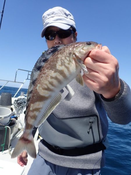 Aquanaut（アクアノート） 釣果