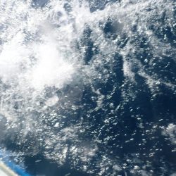 Aquanaut（アクアノート） 釣果