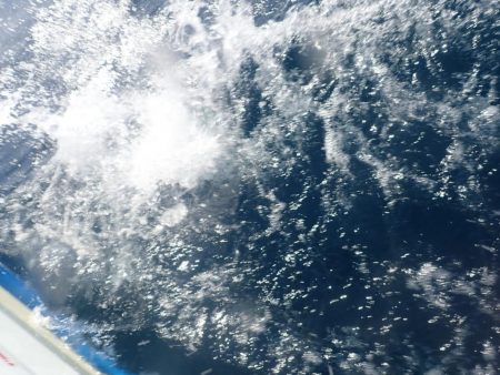 Aquanaut（アクアノート） 釣果