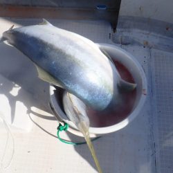 Aquanaut（アクアノート） 釣果