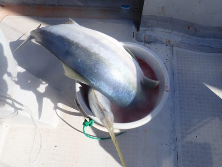 Aquanaut（アクアノート） 釣果