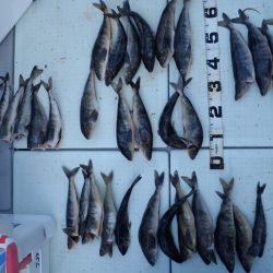 Aquanaut(アクアノート) 釣果