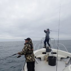 Aquanaut(アクアノート) 釣果