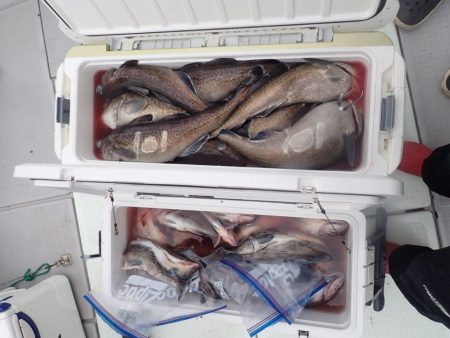 Aquanaut(アクアノート) 釣果