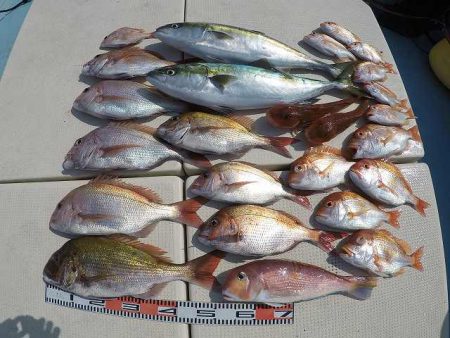 三吉丸 釣果