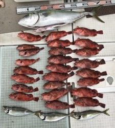 さぶろう丸 釣果