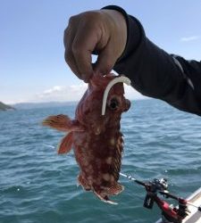 さぶろう丸 釣果