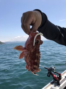 さぶろう丸 釣果