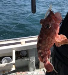 さぶろう丸 釣果