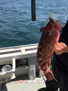 さぶろう丸 釣果