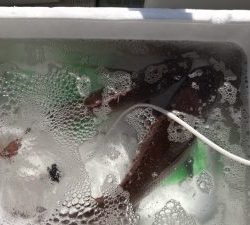 さぶろう丸 釣果