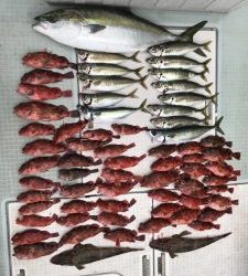 さぶろう丸 釣果