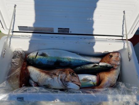 遊漁船 ニライカナイ 釣果