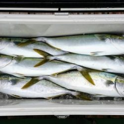 火遠理丸(ほおりまる) 釣果